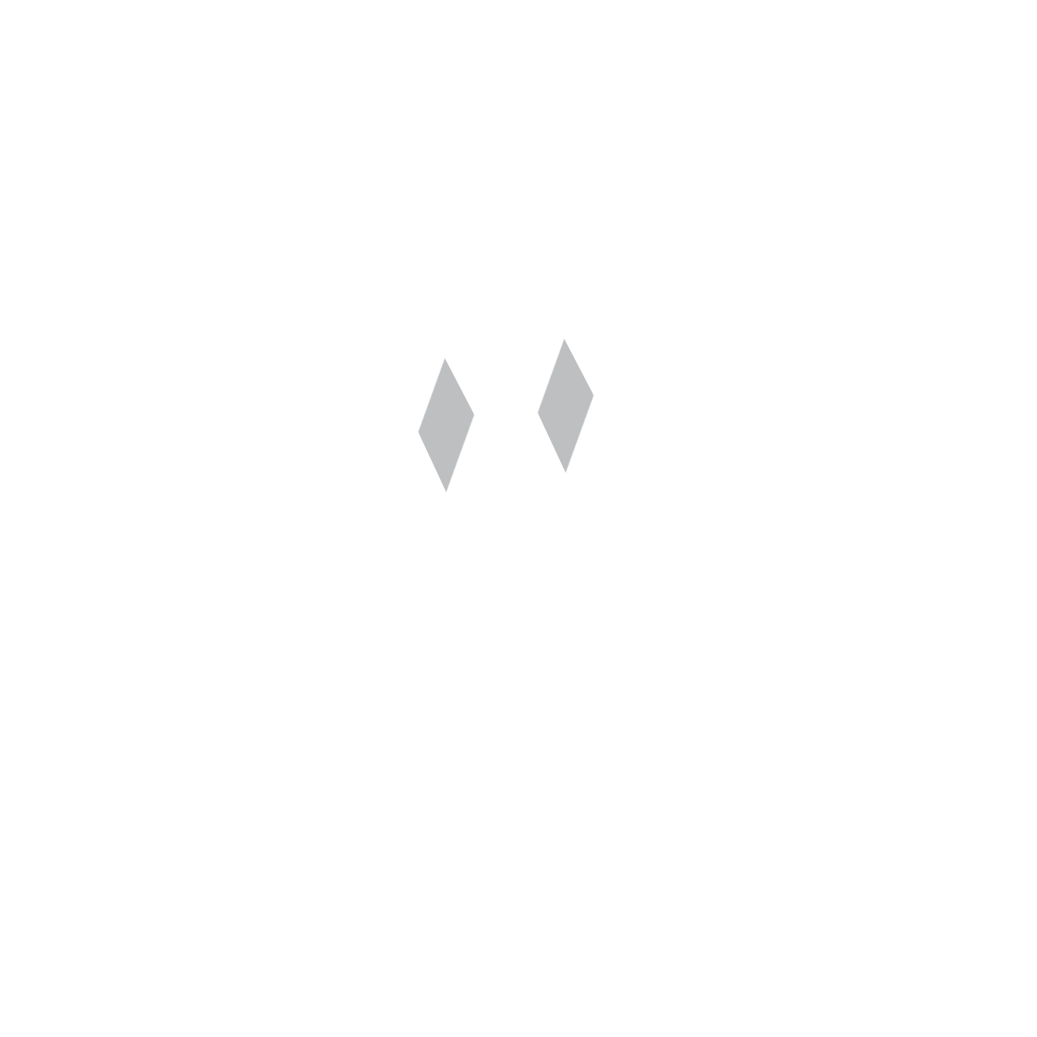 Marcelo Loro
